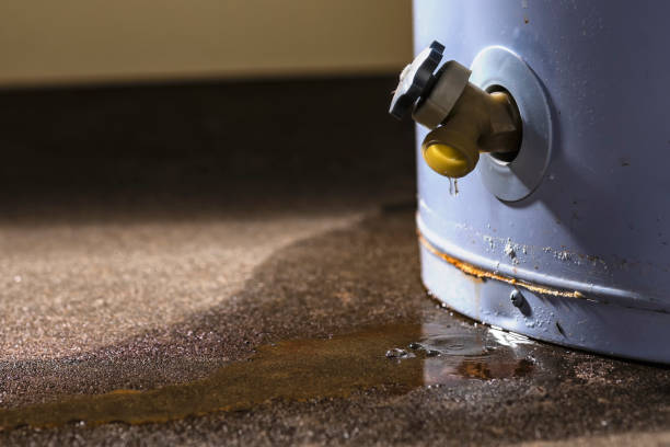 Best Water damage cleanup near me  in Bryson City, NC