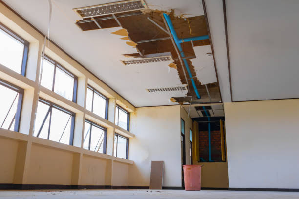 Best Water damage cleanup near me  in Bryson City, NC