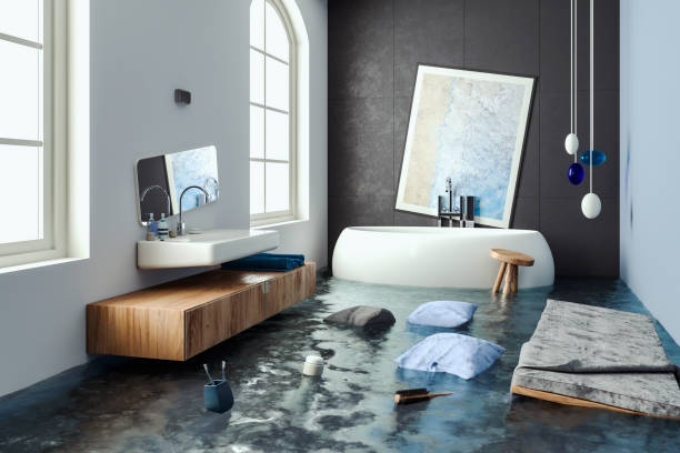 Best Water damage restoration near me  in Bryson City, NC