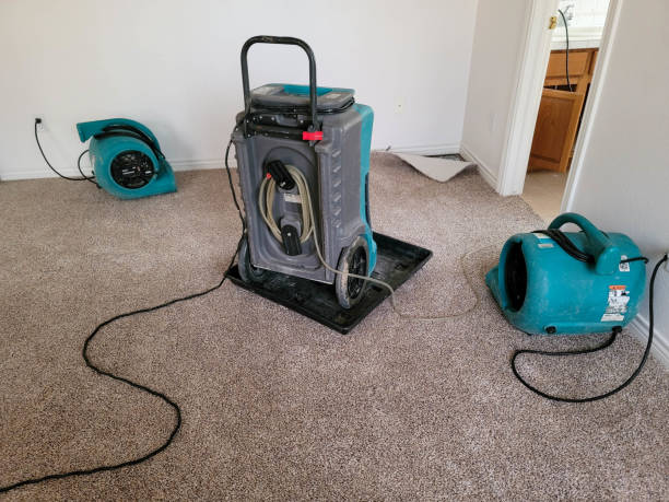 Best Ceiling water damage repair  in Bryson City, NC