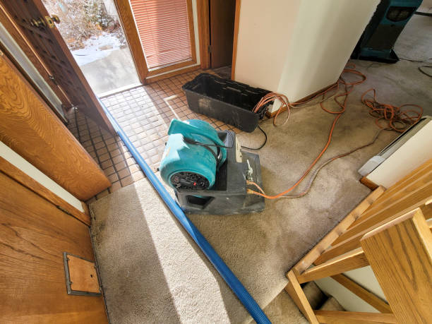 Best Water damage restoration cost  in Bryson City, NC