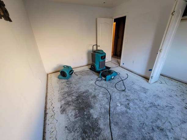 Best Carpet water damage restoration  in Bryson City, NC