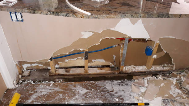 Best Flood damage cleanup  in Bryson City, NC
