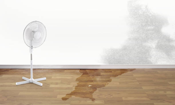 Best Water damage contractors near me  in Bryson City, NC