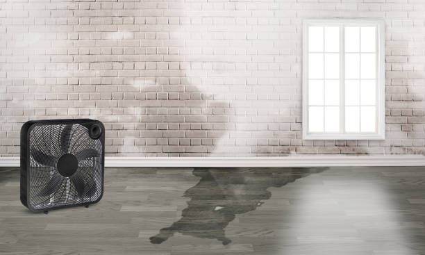 Best Water damage repair service  in Bryson City, NC