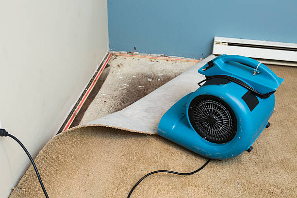  Bryson City, NC Water damage restoration Pros